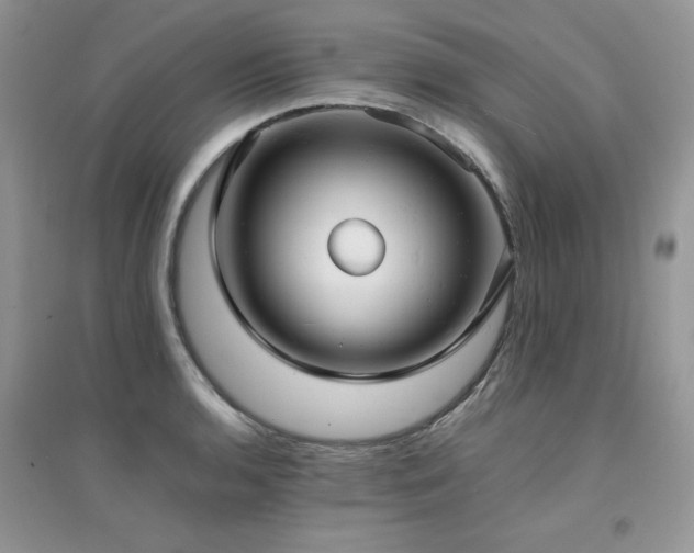 X0000094971136200711291457