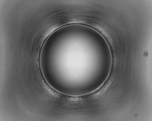 X0000094971137200711291457