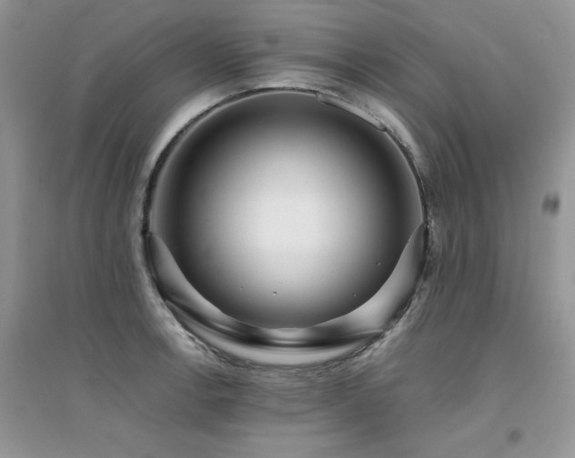 X0000094971138200711291457