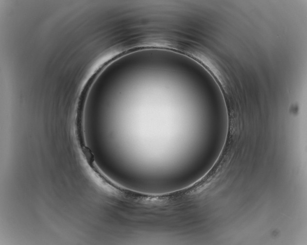 X0000094971139200711291457