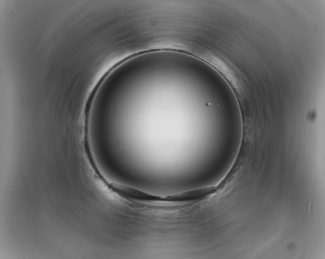X0000094971140200711291457