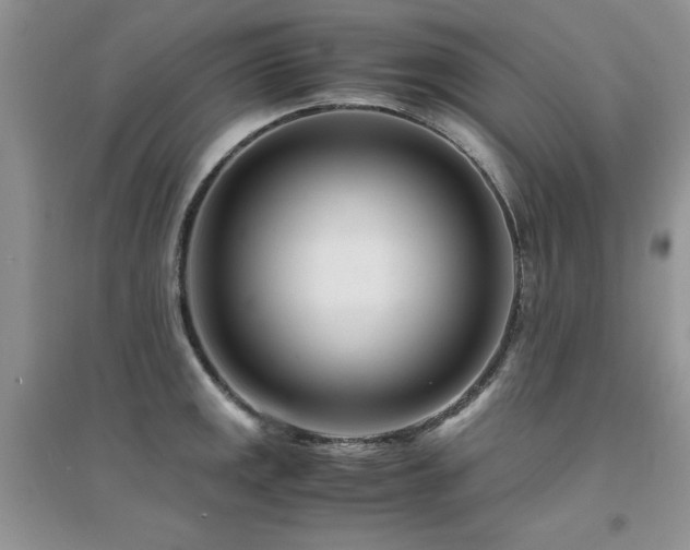 X0000094971141200711291457
