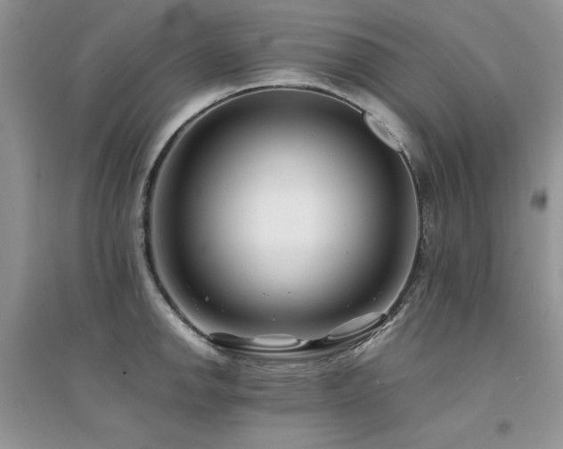 X0000094971142200711291457