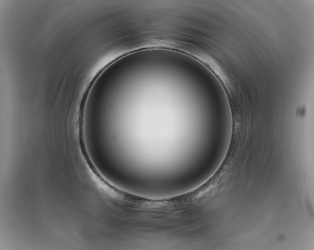 X0000094971143200711291457