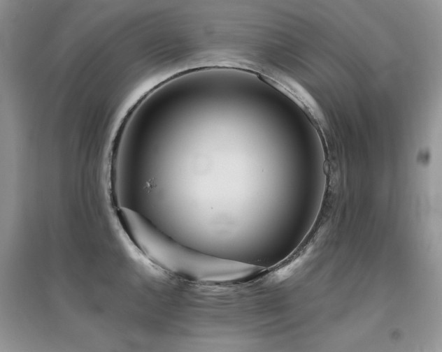 X0000094971144200711291457