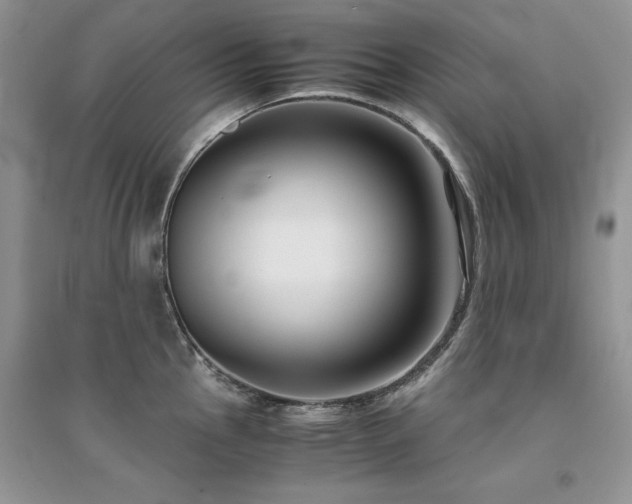 X0000094971145200711291457