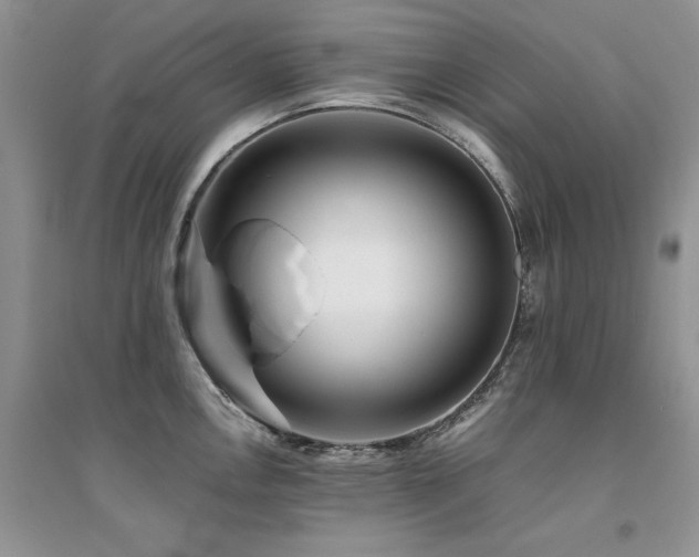 X0000094971146200711291458