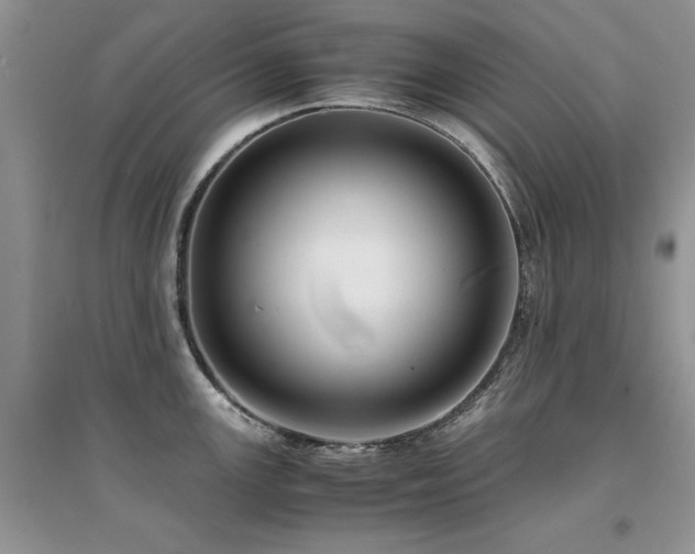X0000094971147200711291458
