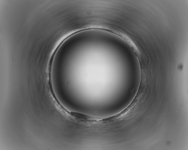 X0000094971148200711291458
