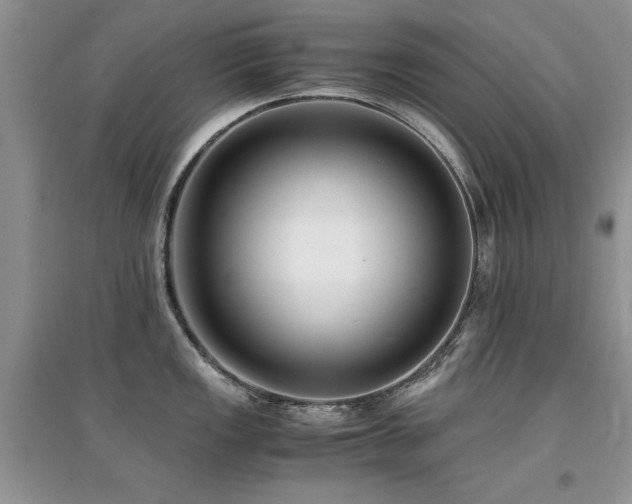 X0000094971149200711291458