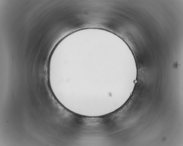 X0000094971150200711291458