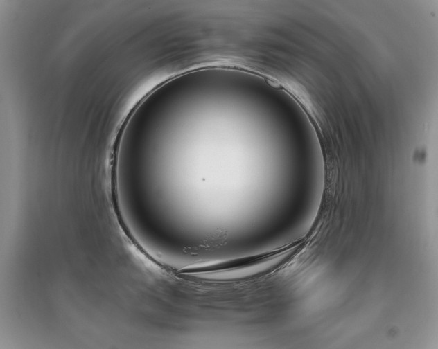X0000094971151200711291458