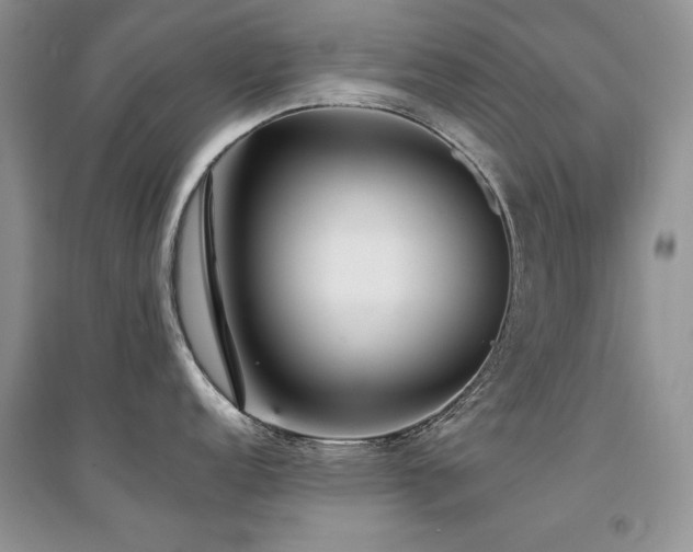X0000094971152200711291458