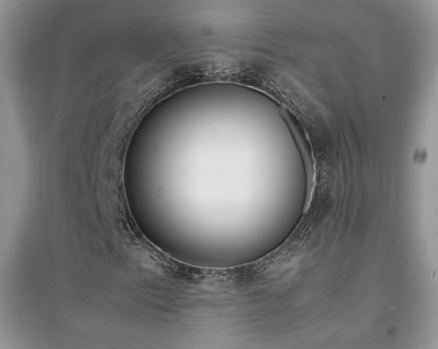 X0000094971153200711291457
