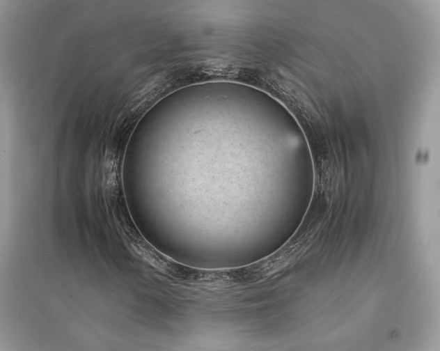 X0000094971154200711291457
