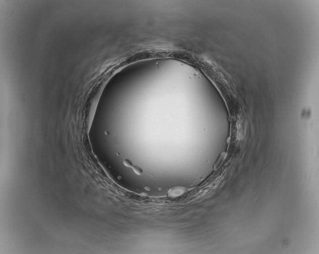 X0000094971157200711291457