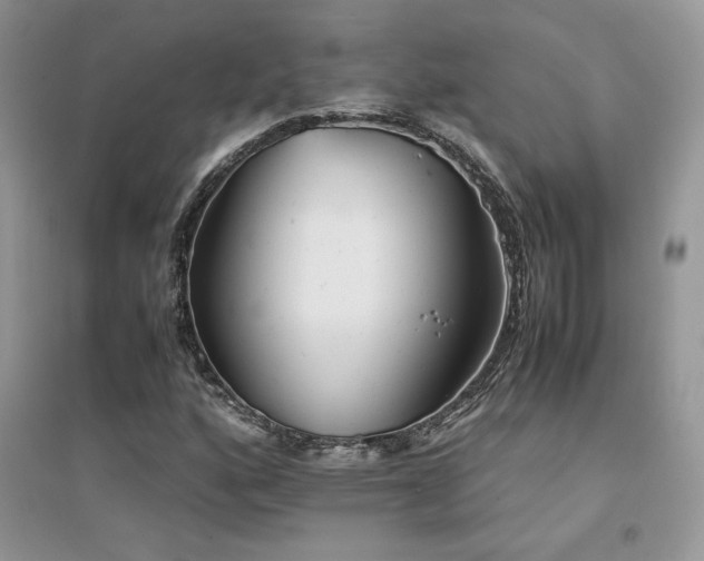 X0000094971160200711291457