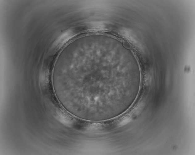 X0000094971161200711291457