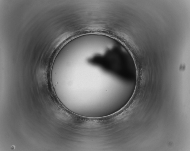 X0000094971162200711291457