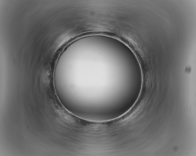 X0000094971163200711291457