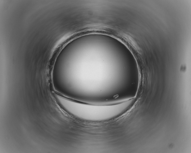 X0000094971164200711291457