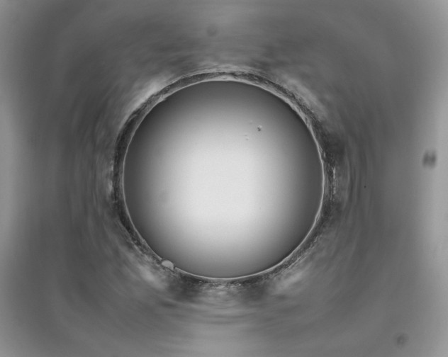 X0000094971165200711291457