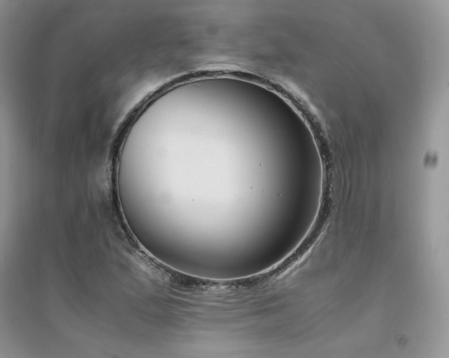 X0000094971167200711291457