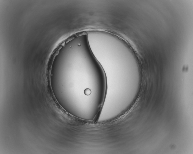 X0000094971168200711291457