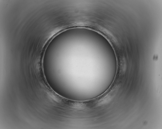 X0000094971170200711291457