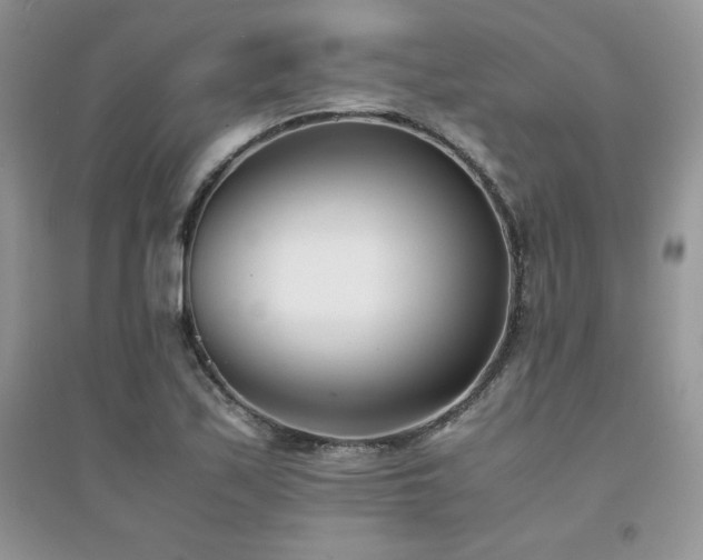 X0000094971171200711291457
