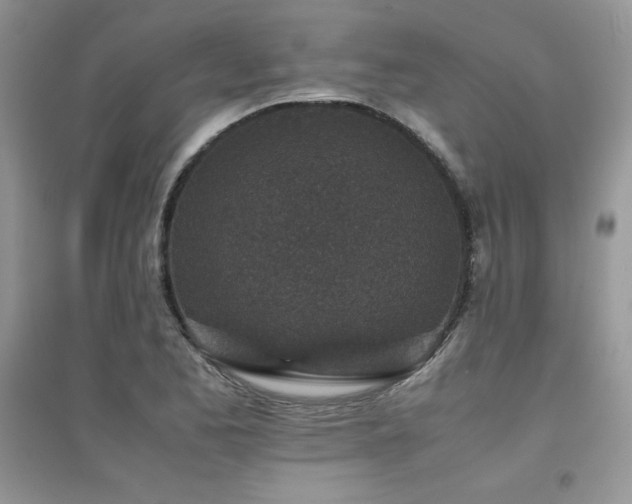 X0000094971173200711291456