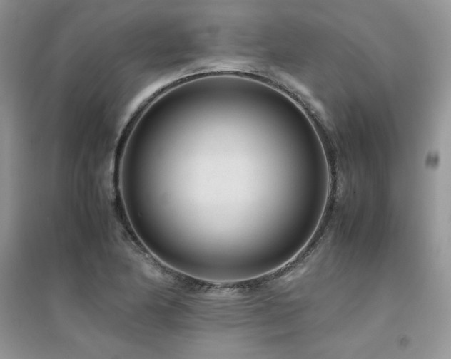X0000094971174200711291456