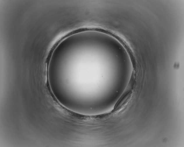 X0000094971175200711291456