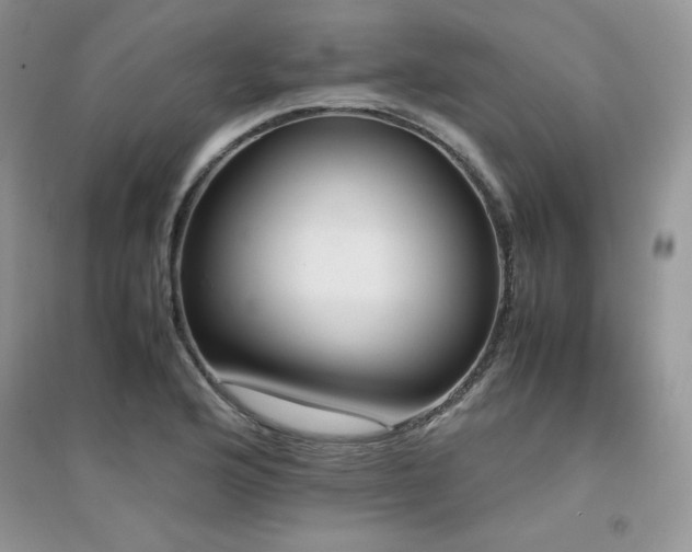 X0000094971176200711291456