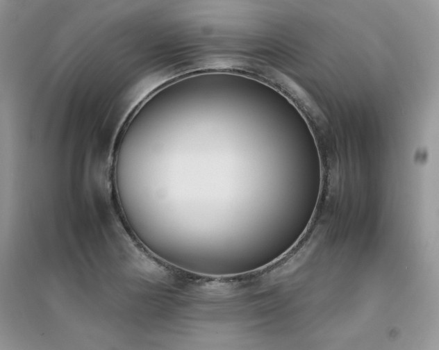 X0000094971178200711291456