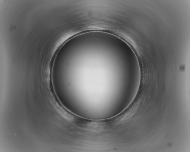 X0000094971179200711291456