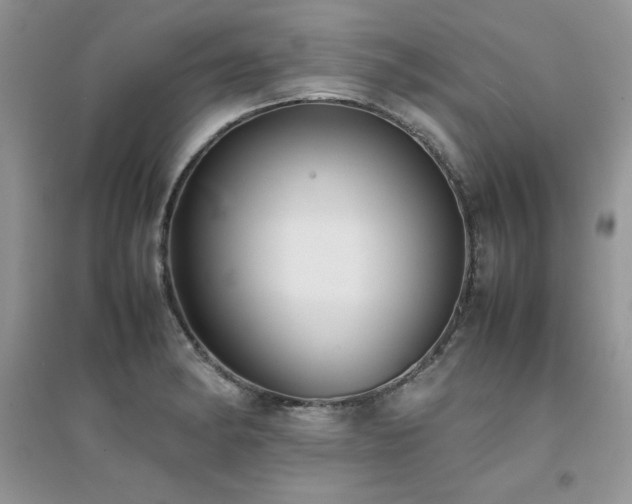 X0000094971182200711291456