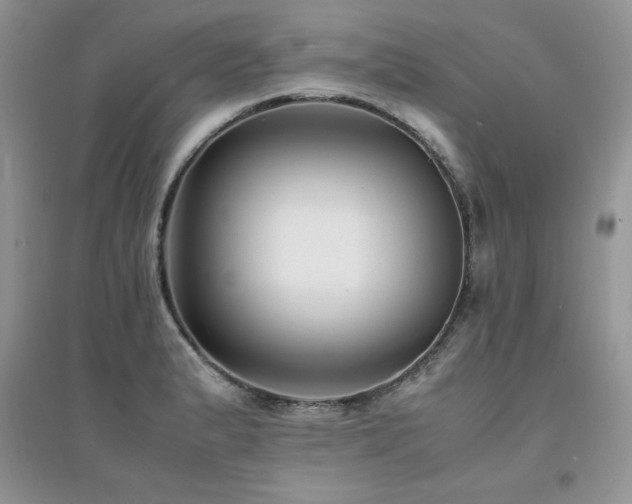 X0000094971183200711291456