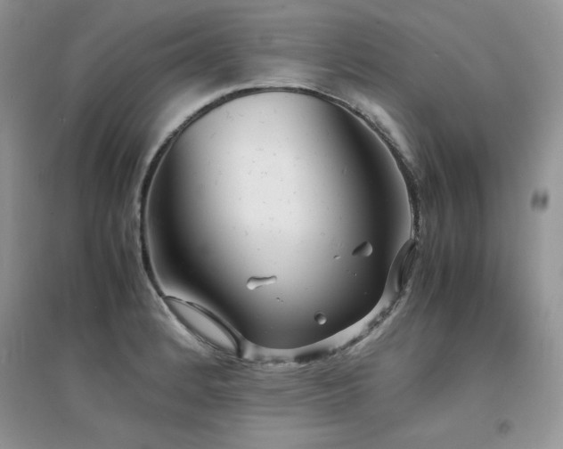 X0000094971184200711291456