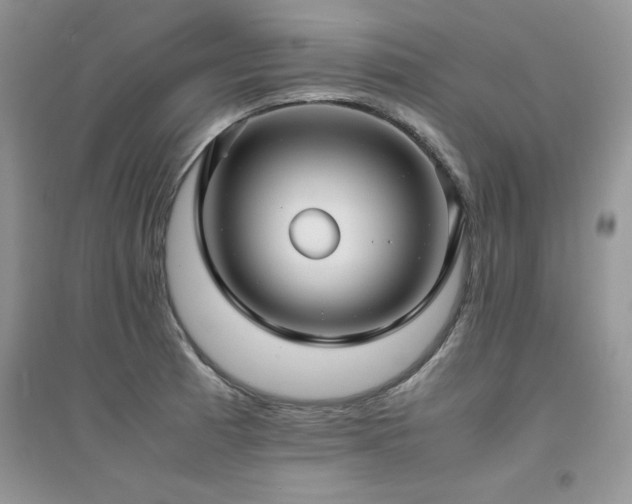 X0000094971185200711291456