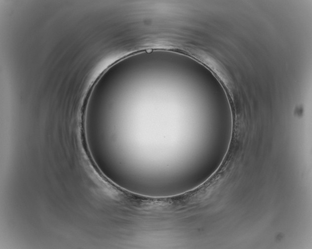 X0000094971187200711291456