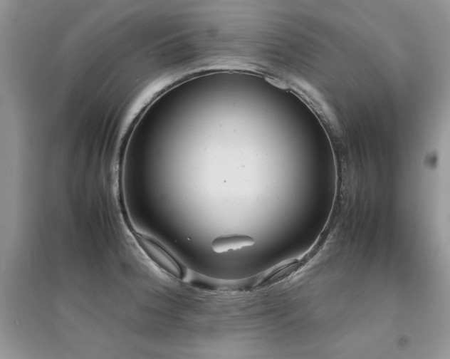 X0000094971188200711291456