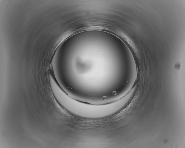 X0000094971193200711291456