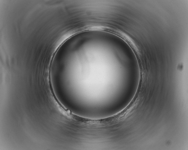 X0000094971194200711291456