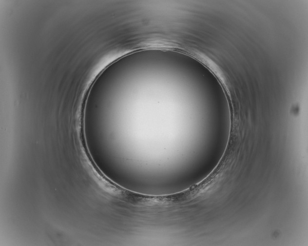 X0000094971195200711291456