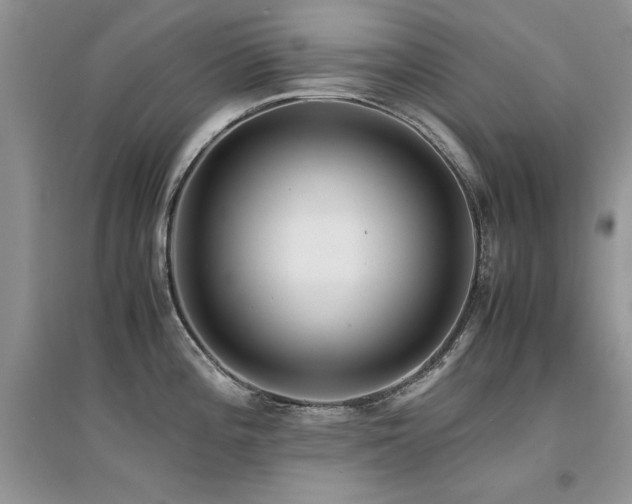 X0000094971196200711291456