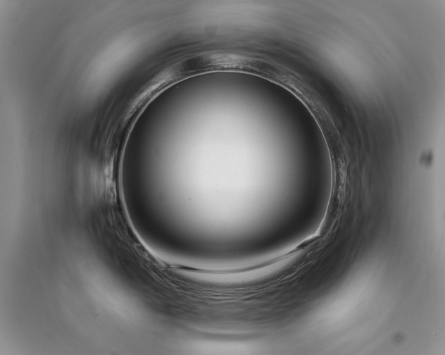 X0000094971198200711291456