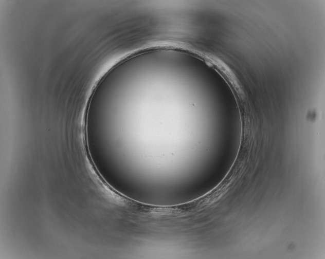 X0000094971199200711291456
