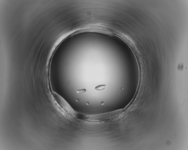 X0000094971200200711291456