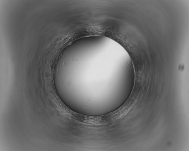 X0000094971201200711291455